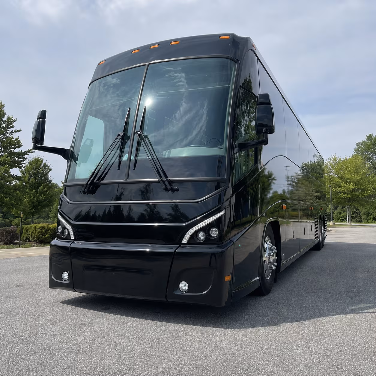 charter buses to buttonwood park zoo and local nature destinations